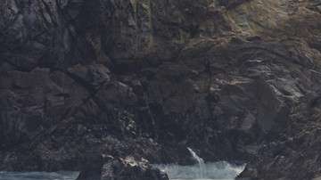 Desde China, los fabricantes muestran sus modelos.