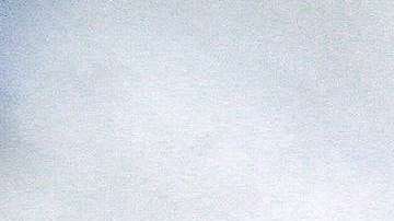 Migrantes esperan recibir asilo en EEUU.