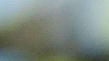 El gobierno de Trump hizo caso omiso de alertas de diplomáticos.