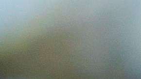 El presidente Donald J. Trump.