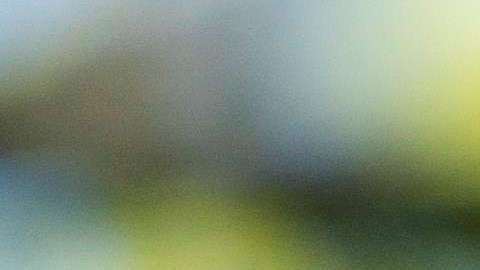 El presidente Donald J. Trump.