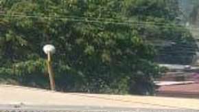 Presuntos delincuentes sabotearon los frenos de uno de los trenes.