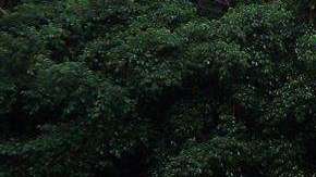 Tres personas fueron detenidas tras el ataque.