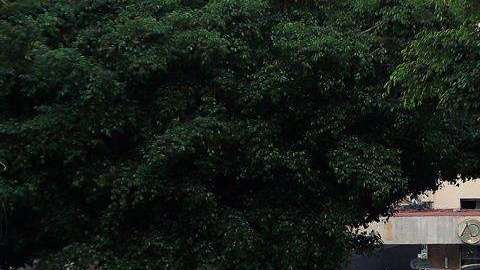 Tres personas fueron detenidas tras el ataque.