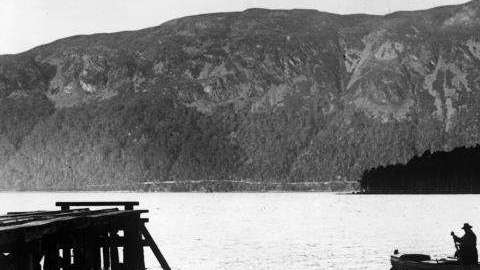 Varios científicos analizarán el ADN del lago Ness para saber si existe el monstruo.