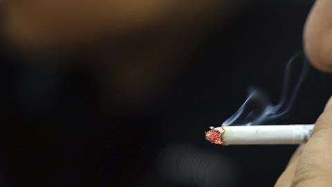 El tabaco daña a las células musculares.