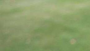 Sergio García insultó a un niño que lo felicitó durante  uno de sus golpes en el hoyo 12