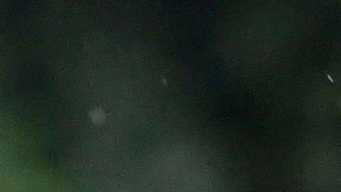 El presidente Trump destacó sus primeros 17 meses de gobierno.