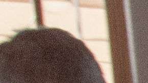 Durante el presente año fiscal han fallecido 58 inmigrantes tratando de cruzar la frontera