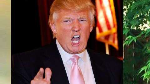 La escuela donde asiste Addison  Barnes le había prohibido vestir la camiseta