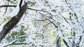 Primavera, verano, otoño e invierno juntos en un parque de Italia.