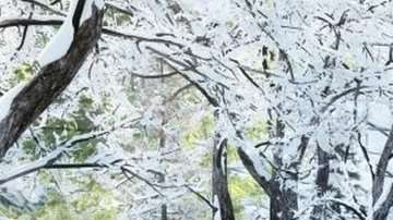 Primavera, verano, otoño e invierno juntos en un parque de Italia.