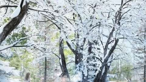 Primavera, verano, otoño e invierno juntos en un parque de Italia.