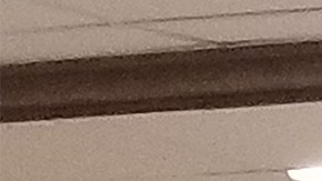 Se ofrecen talleres informativos bilingües sobre vivienda asequible para personas de la tercera edad en diferentes barrios de Chicago.