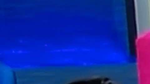 Raúl Araiza y Andrea Legarreta