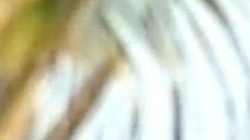 Andrés García en "Ventaneando"