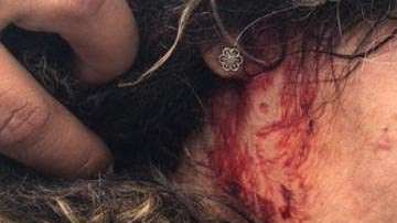 Angélica Questel fue arrestada en su hospedaje en Santa Rita, Río Piedras, sin que mediara una orden de allanamiento.