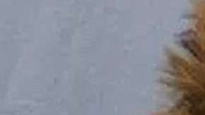 Adam Purinton, asesinó a un inmigrante.