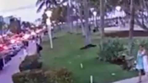Un video de la Policía de Miami muestra el momento del ataque.