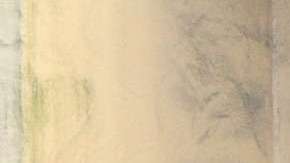 Las placas sufrirían un cambio drástico.