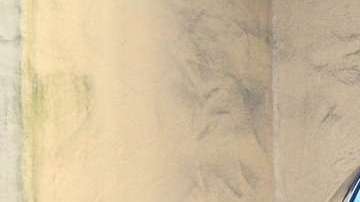 Las placas sufrirían un cambio drástico.