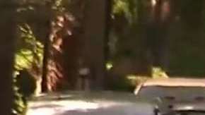 La avioneta se estrelló en el condado de Suffolk.