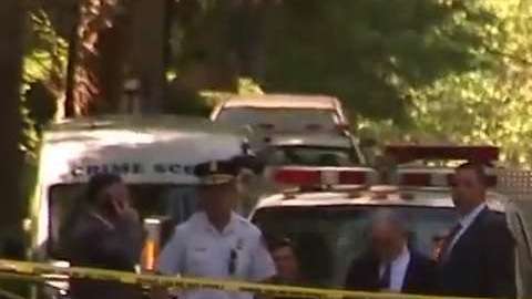 La avioneta se estrelló en el condado de Suffolk.