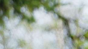 Da un paseo al aire libre.