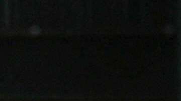 Agente de la Patrulla Fronteriza de EEUU revisa un auto on la ayuda de un perro rastreador.