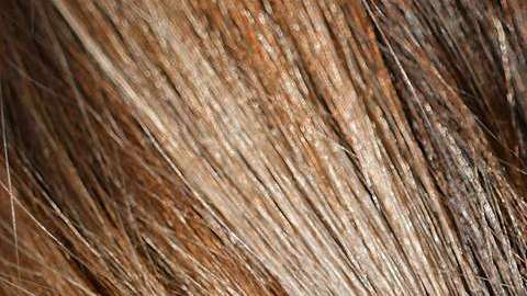 Te damos las claves para tener un pelo divino.