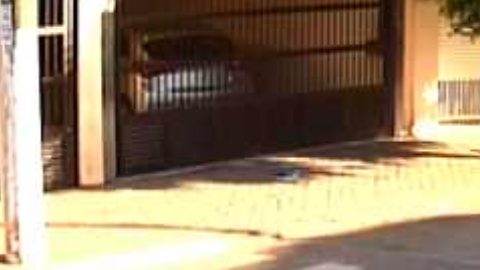 Deteniendo al ladrón