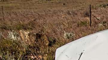 Autos que se involucran en accidentes con más frecuencia.