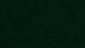 Portada de la nueva serie: La casa de las flores