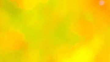 Estaban limpiando para plantear unos árboles