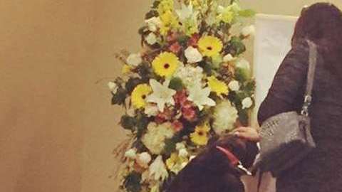Un perro atiende el funeral de su dueño.