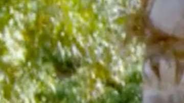 Chiquis Rivera y Lorenzo Méndez