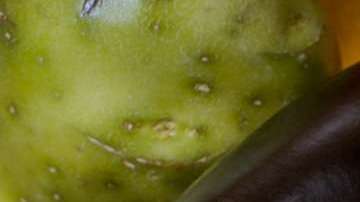 No se requieren súper alimentos exóticos para ser vegetariano.