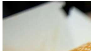 Después de que leas esto, ¿qué preferirías comer?