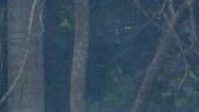 Personal de rescate revisa la zona del accidente