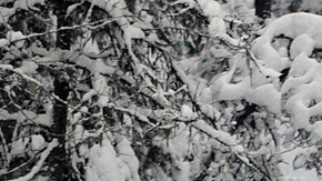 Las fuertes nevadas continuaron en abril.