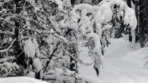 Las fuertes nevadas continuaron en abril.