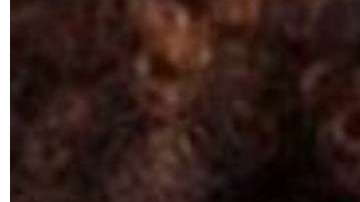 Díaz no ha respondido a las acusaciones de supuesta conducta sexual impropia con la escritora Zinzi Clemmons.