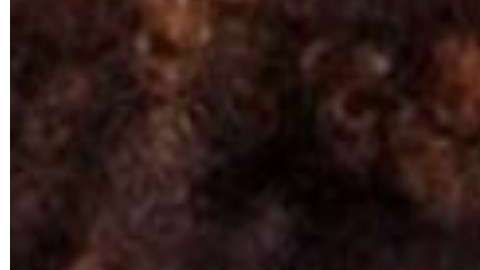 Díaz no ha respondido a las acusaciones de supuesta conducta sexual impropia con la escritora Zinzi Clemmons.