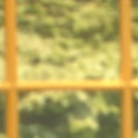 Deseret Tavares en Venga la Alegría.