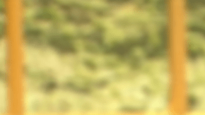 Deseret Tavares en Venga la Alegría.