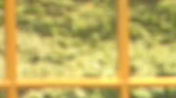 Deseret Tavares en Venga la Alegría.