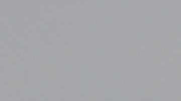 Dinesh D'Souza y Donald Trump.