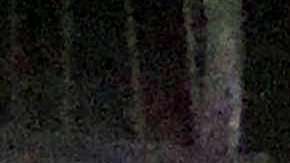 Mueren tres militares en emboscada en Guerrero.