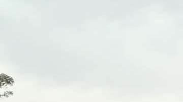 López Obrador lidera todas las encuestas camino a la Presidencia de México.