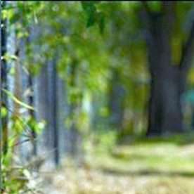 En las imágenes filtradas se ve a Zelina posando desnuda, mostrando su cuerpo mientras se toma selfies.